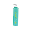 Angel Dual Repair Shampoo 500ml
